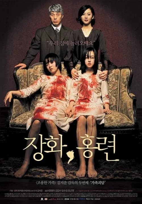 A Tale of Two Sisters film posteri